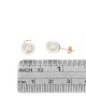 White Rose Freshwater Pearl Studs in Yellow Gold